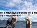 三月份去拉萨怎么样旅游最好呢？三月份去拉萨怎么样旅游最好呢视频