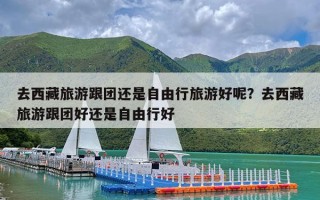 去西藏旅游跟团还是自由行旅游好呢？去西藏旅游跟团好还是自由行好