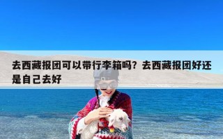 去西藏报团可以带行李箱吗？去西藏报团好还是自己去好