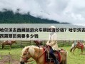 哈尔滨去西藏旅游火车跟团游价格？哈尔滨去西藏跟团需要多少钱