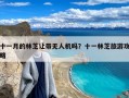 十一月的林芝让带无人机吗？十一林芝旅游攻略