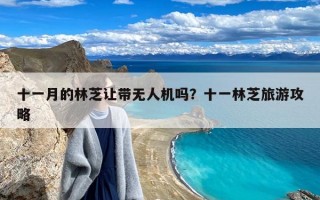 十一月的林芝让带无人机吗？十一林芝旅游攻略