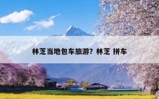 林芝当地包车旅游？林芝 拼车