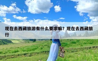 现在去西藏旅游有什么要求嘛？现在去西藏旅行