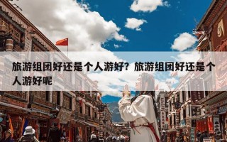 旅游组团好还是个人游好？旅游组团好还是个人游好呢