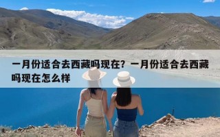 一月份适合去西藏吗现在？一月份适合去西藏吗现在怎么样