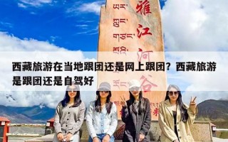 西藏旅游在当地跟团还是网上跟团？西藏旅游是跟团还是自驾好