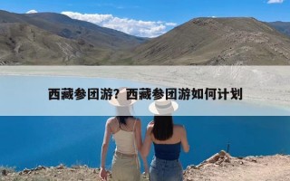 西藏参团游？西藏参团游如何计划