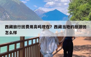 西藏旅行团费用高吗现在？西藏当地的旅游团怎么样