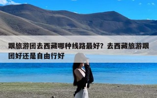 跟旅游团去西藏哪种线路最好？去西藏旅游跟团好还是自由行好