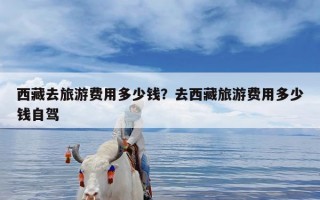 西藏去旅游费用多少钱？去西藏旅游费用多少钱自驾