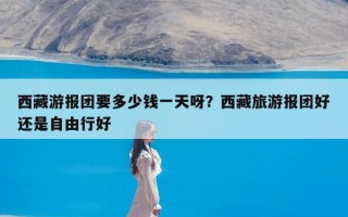 西藏游报团要多少钱一天呀？西藏旅游报团好还是自由行好