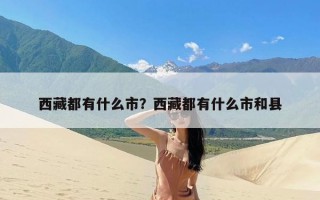 西藏都有什么市？西藏都有什么市和县