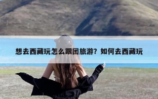 想去西藏玩怎么跟团旅游？如何去西藏玩