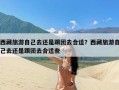 西藏旅游自己去还是跟团去合适？西藏旅游自己去还是跟团去合适些