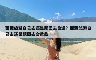 西藏旅游自己去还是跟团去合适？西藏旅游自己去还是跟团去合适些