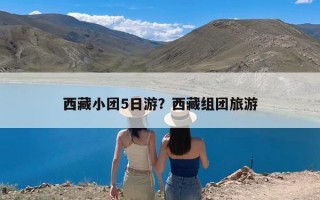 西藏小团5日游？西藏组团旅游