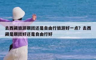 去西藏旅游跟团还是自由行旅游好一点？去西藏是跟团好还是自由行好