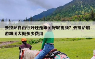 去拉萨自由行好还是跟团好呢视频？去拉萨旅游跟团大概多少费用