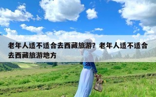 老年人适不适合去西藏旅游？老年人适不适合去西藏旅游地方