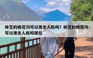 林芝的桃花沟可以用无人机吗？林芝的桃花沟可以用无人机吗现在