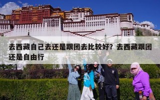 去西藏自己去还是跟团去比较好？去西藏跟团还是自由行