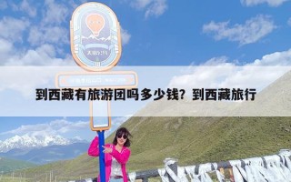 到西藏有旅游团吗多少钱？到西藏旅行