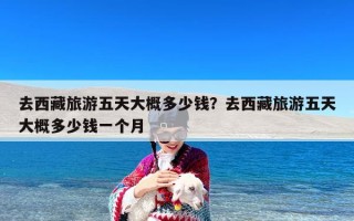 去西藏旅游五天大概多少钱？去西藏旅游五天大概多少钱一个月