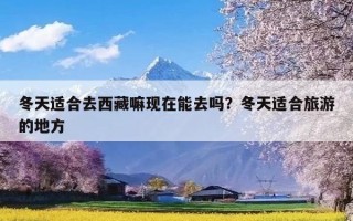 冬天适合去西藏嘛现在能去吗？冬天适合旅游的地方