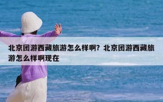 北京团游西藏旅游怎么样啊？北京团游西藏旅游怎么样啊现在