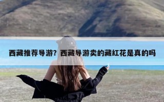 西藏推荐导游？西藏导游卖的藏红花是真的吗