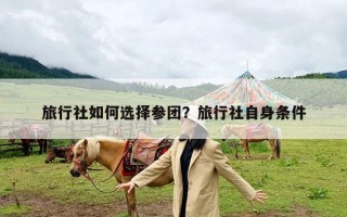 旅行社如何选择参团？旅行社自身条件