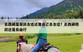 去西藏是报团合适还是自己去合适？去西藏抱团还是自由行