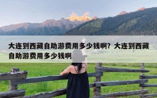 大连到西藏自助游费用多少钱啊？大连到西藏自助游费用多少钱啊