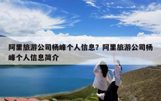 阿里旅游公司杨峰个人信息？阿里旅游公司杨峰个人信息简介