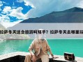 拉萨冬天适合旅游吗知乎？拉萨冬天去哪里玩