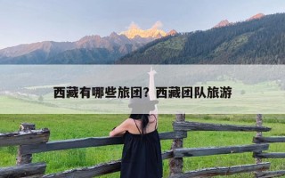 西藏有哪些旅团？西藏团队旅游