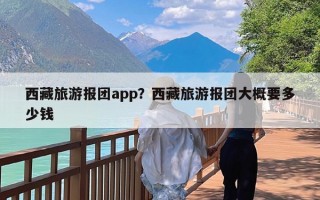 西藏旅游报团app？西藏旅游报团大概要多少钱