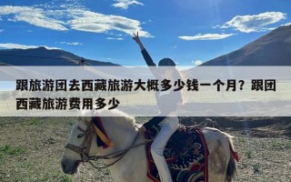 跟旅游团去西藏旅游大概多少钱一个月？跟团西藏旅游费用多少