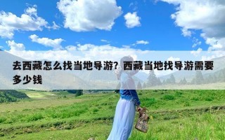 去西藏怎么找当地导游？西藏当地找导游需要多少钱