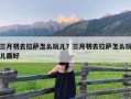 三月初去拉萨怎么玩儿？三月初去拉萨怎么玩儿最好