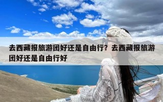 去西藏报旅游团好还是自由行？去西藏报旅游团好还是自由行好