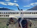 坐火车去拉萨的旅行团？坐火车去拉萨沿途风景什么体验