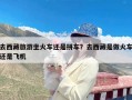 去西藏旅游坐火车还是拼车？去西藏是做火车还是飞机