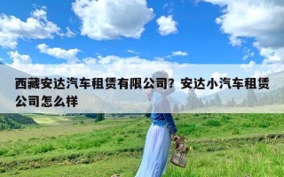 西藏安达汽车租赁有限公司？安达小汽车租赁公司怎么样