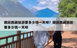 跟团西藏旅游要多少钱一天呀？跟团西藏旅游要多少钱一天呀