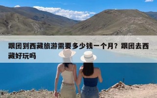 跟团到西藏旅游需要多少钱一个月？跟团去西藏好玩吗