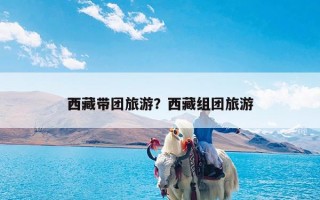 西藏带团旅游？西藏组团旅游