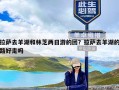 拉萨去羊湖和林芝两日游的团？拉萨去羊湖的路好走吗