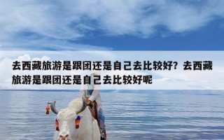 去西藏旅游是跟团还是自己去比较好？去西藏旅游是跟团还是自己去比较好呢